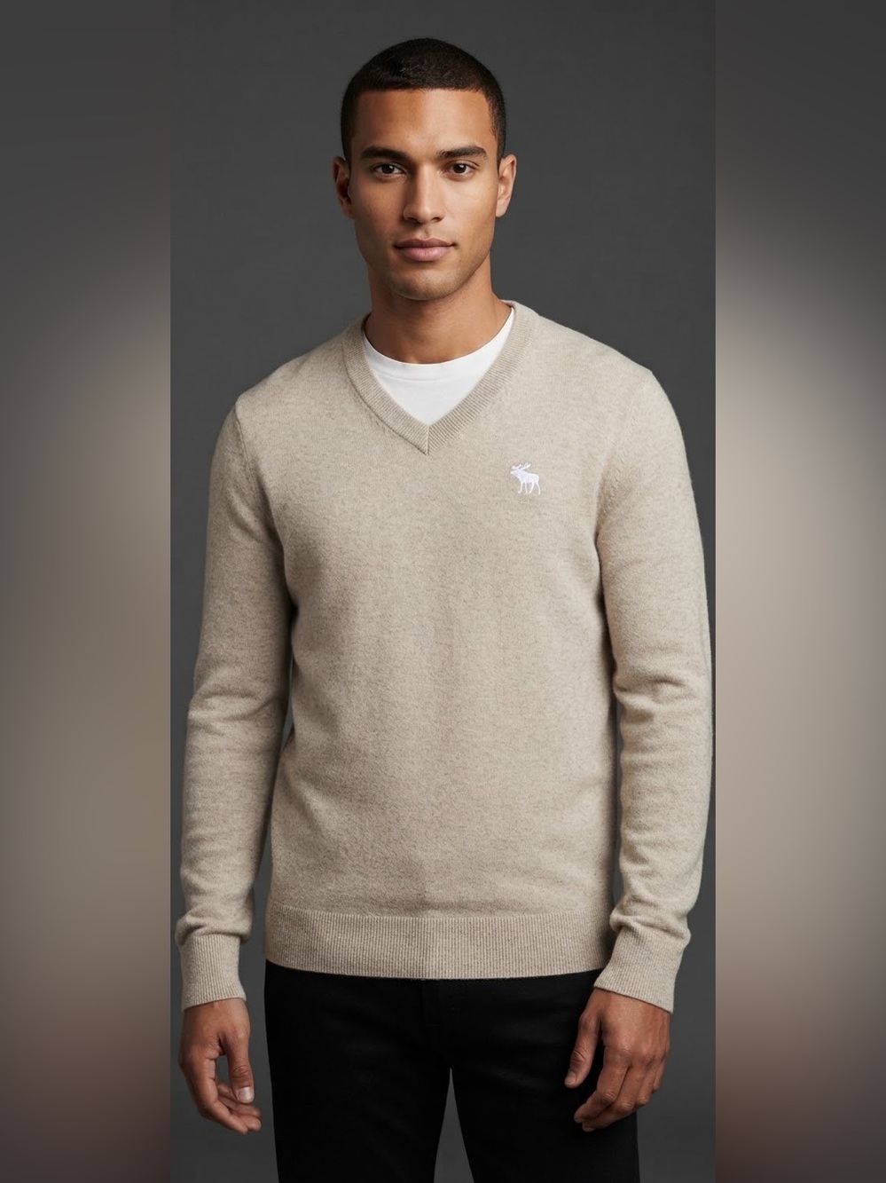 Abercrombie & Fitch Men's V-Neck Sweater Oatmeal Beige Moose Logo Preppy Knit L